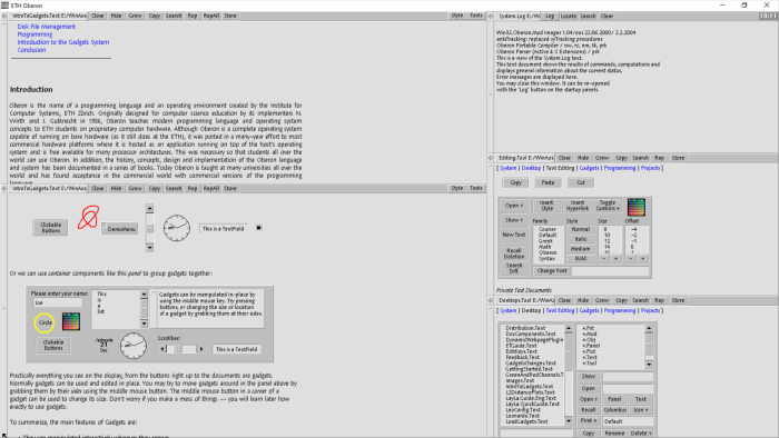 Oberon l&auml;uft in einer Emulation unter Windows. (Bild: Felix Friedrich)